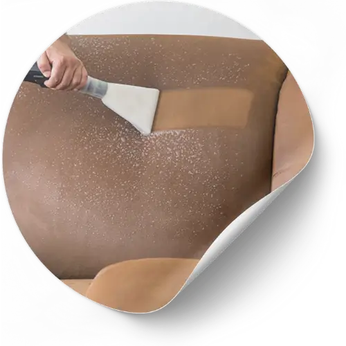 Eva Higienização e Impermeabilização - Higienização de Estofados